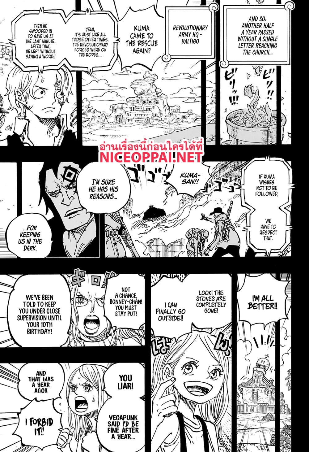 อ่านการ์ตูน One Piece 1101 (ENG) ภาพที่ 13