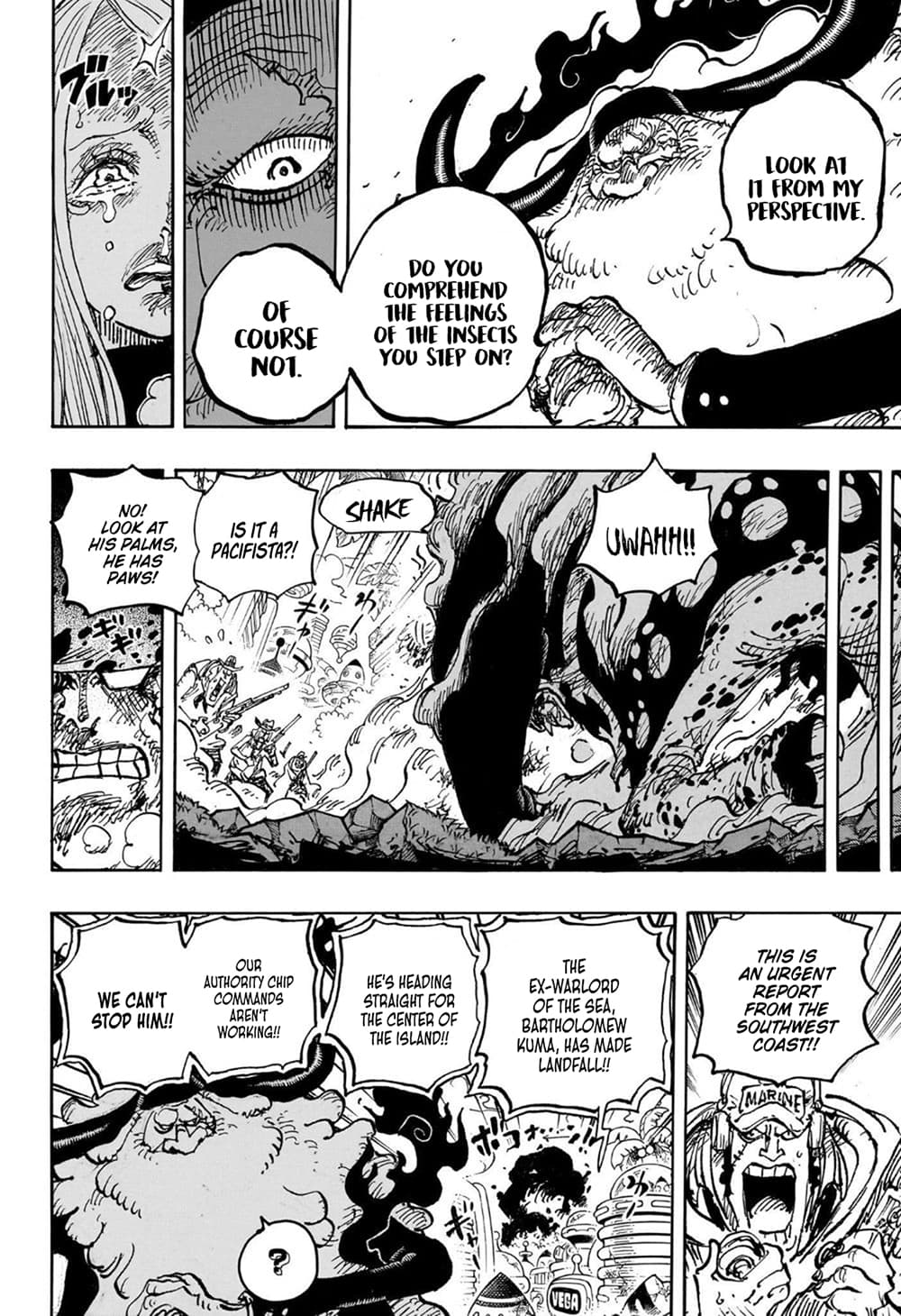 อ่านการ์ตูน One Piece 1103 (ENG) ภาพที่ 11