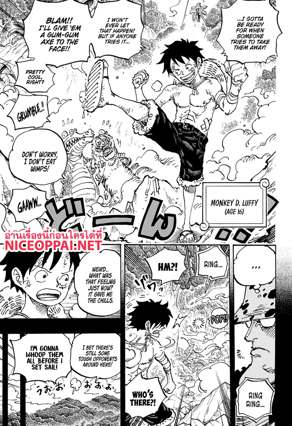 อ่านการ์ตูน One Piece 1101 (ENG) ภาพที่ 5