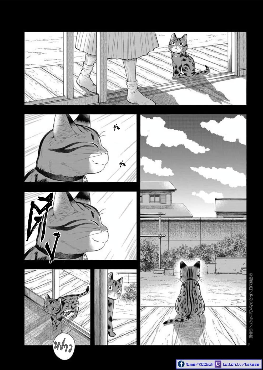 อ่านการ์ตูน Isekai Neko to Fukigenna Majo 6 ภาพที่ 4