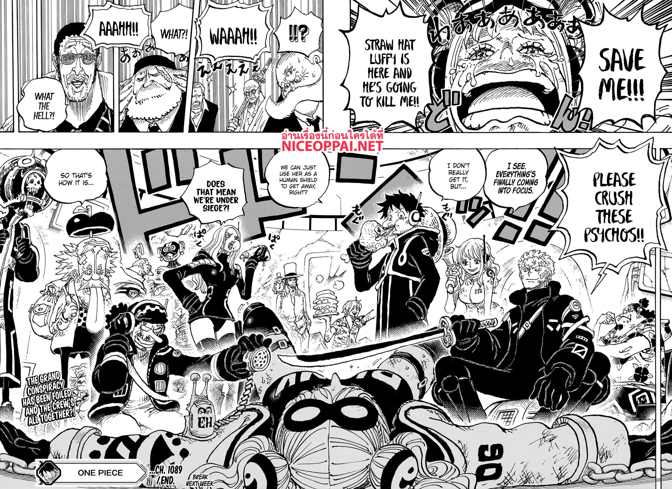 อ่านการ์ตูน One Piece 1089 (ENG) ภาพที่ 16