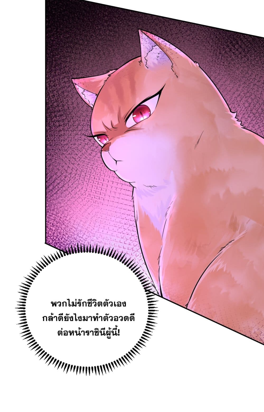 อ่านการ์ตูน God-level Contract Start With a Cat 3 ภาพที่ 11