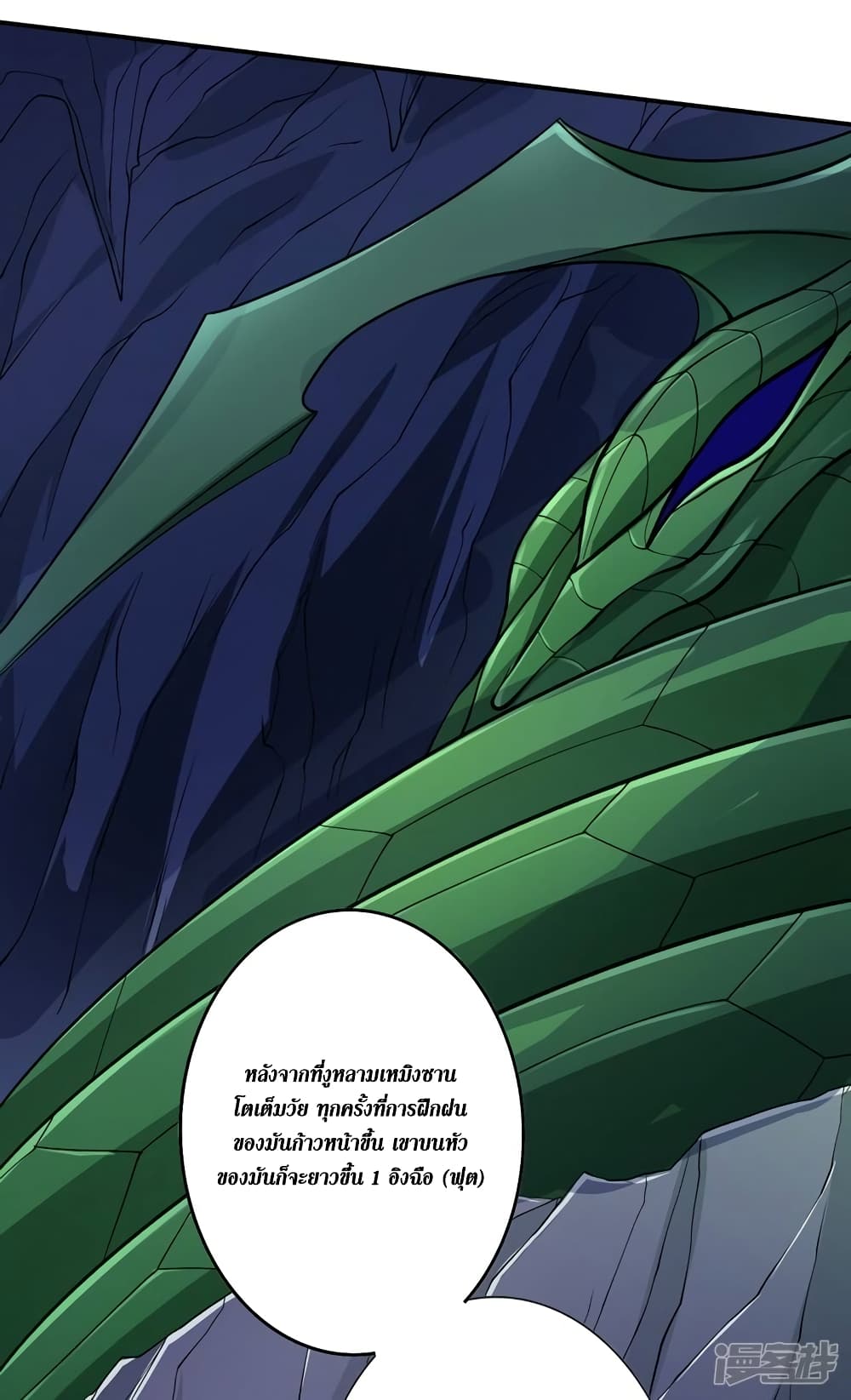 อ่านการ์ตูน Spirit Sword Sovereign 316 ภาพที่ 12