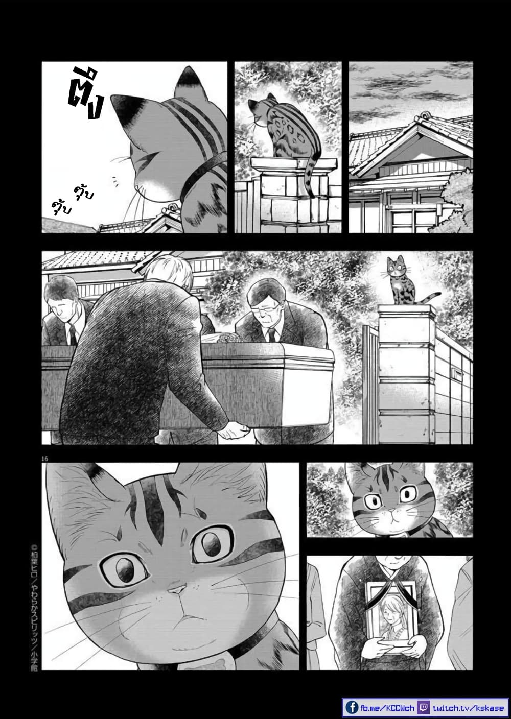 อ่านการ์ตูน Isekai Neko to Fukigenna Majo 6 ภาพที่ 16