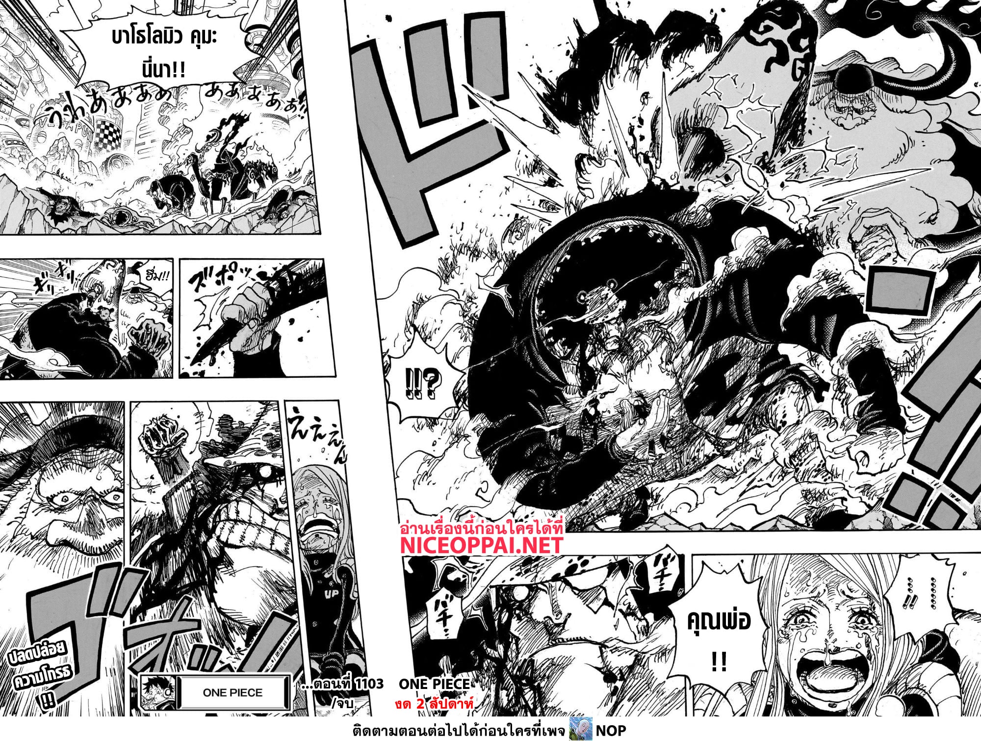 อ่านการ์ตูน One Piece 1103 ภาพที่ 15