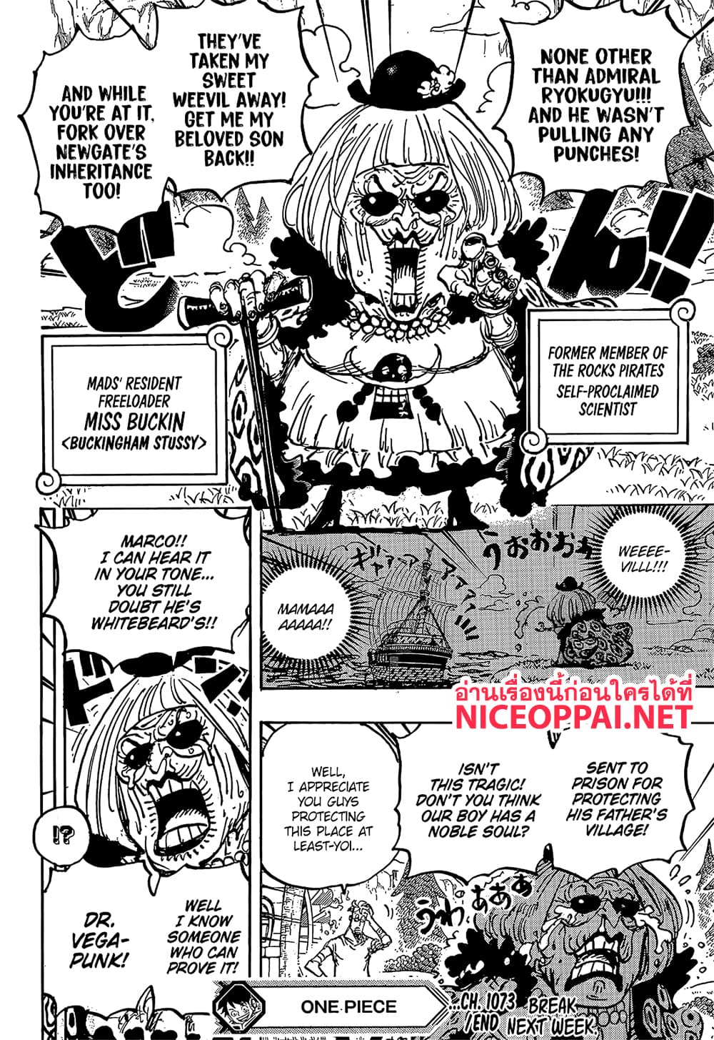 อ่านการ์ตูน One Piece 1073 (ENG) ภาพที่ 14