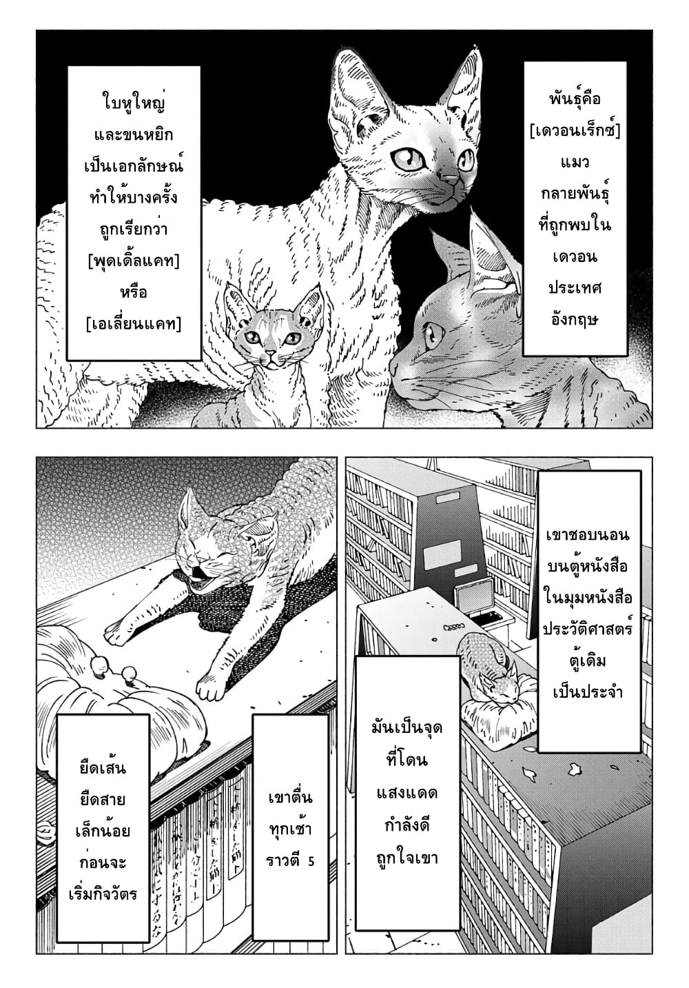 อ่านการ์ตูน Nyaight of the Living Cat 9.1 ภาพที่ 2