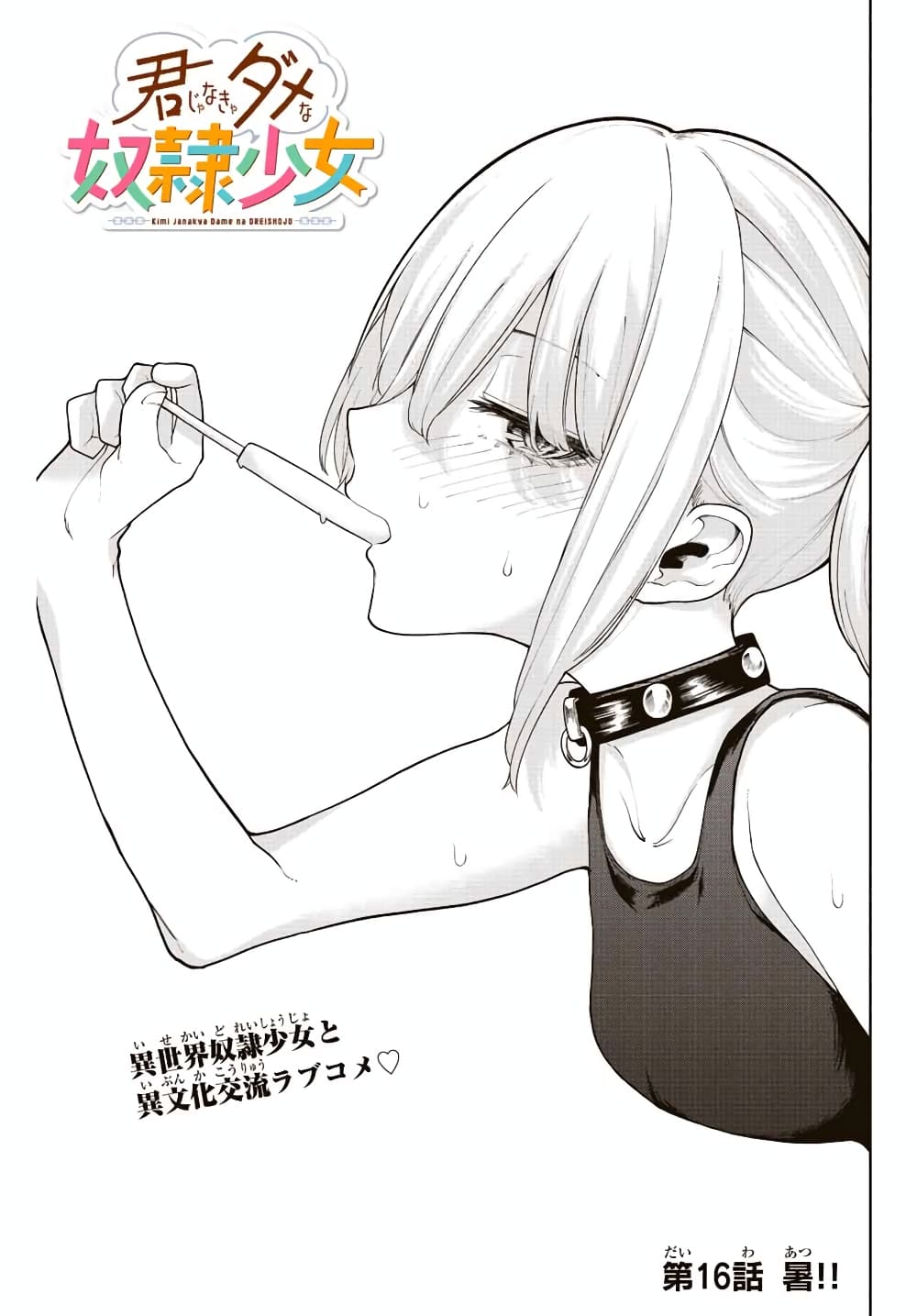 อ่านการ์ตูน Kimi janakya Dame na Dorei Shoujo 16 ภาพที่ 3